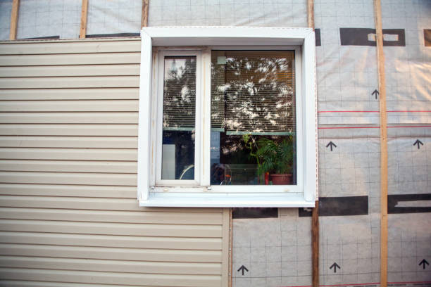 Best Insulated Siding Installation  in Rio Linda, CA