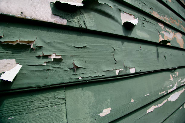 Best Storm Damage Siding Repair  in Rio Linda, CA