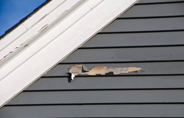 Best Vinyl Siding Installation  in Rio Linda, CA